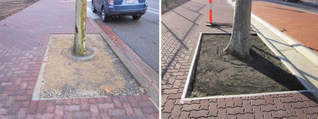 Preparation: Tree bases with epoxy gravel
